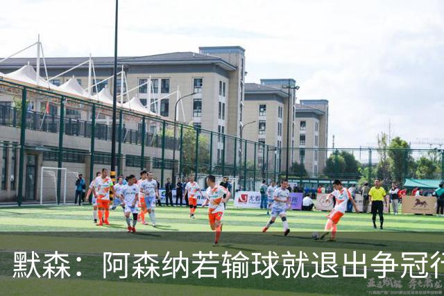 默森：阿森纳若输球就退出争冠行列 本场极其重要